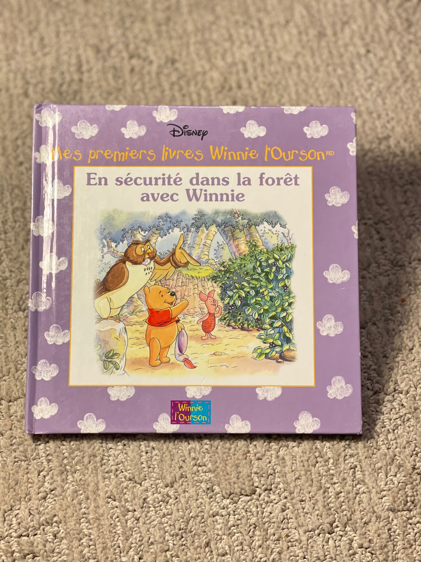 En Sécurité dans la forêt avec Winnie